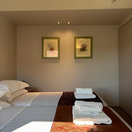 Apartment The Lotus Flower Stylish Renovated In *